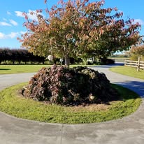 Caretaker Service Hamilton NZ